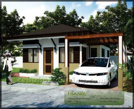 Hinode Model