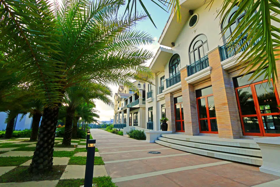 Amalfi clubhouse exterior framed by landscaped palms
