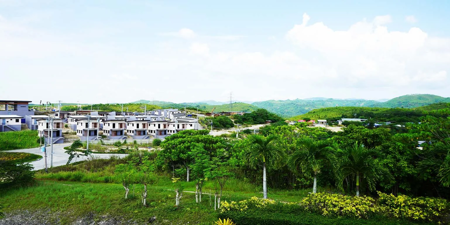 Amoa project image